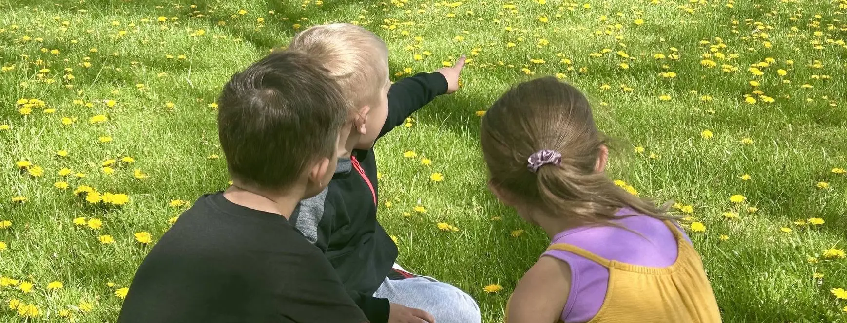 A group of children sitting in the grass.